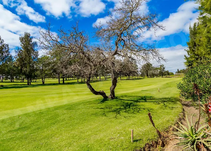 Apartament Pampas Altogolfe 2 Bedroom